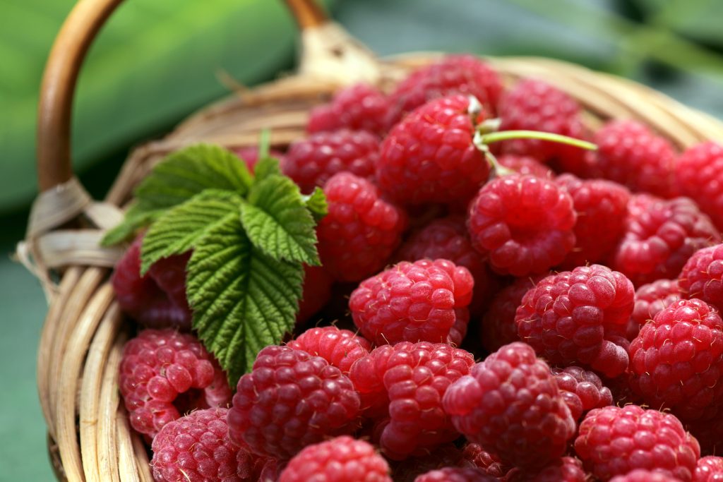 Fresh Fruit Category Report - January 2022